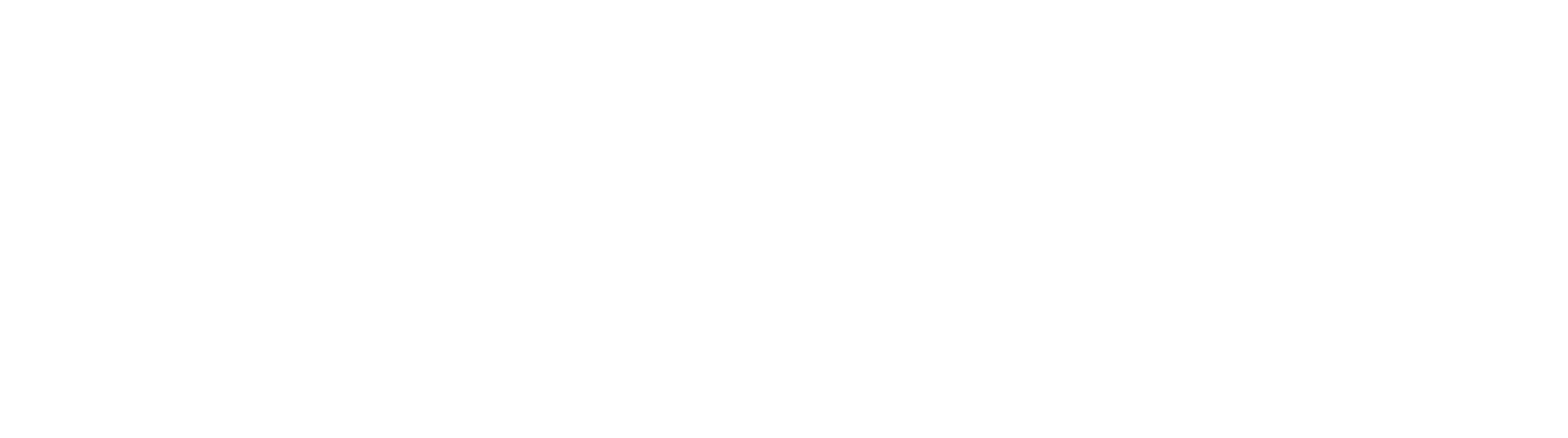 The Pairist logo