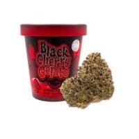 Black Cherry Gelato