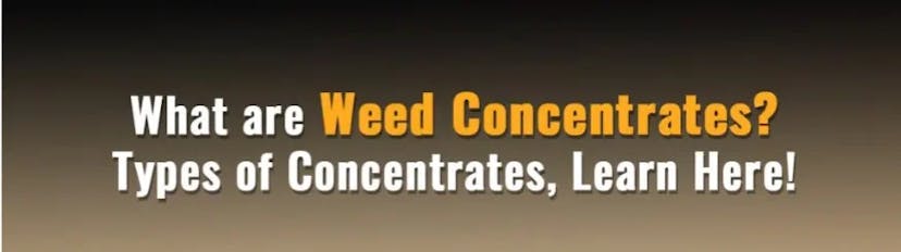 Weed Concentrates