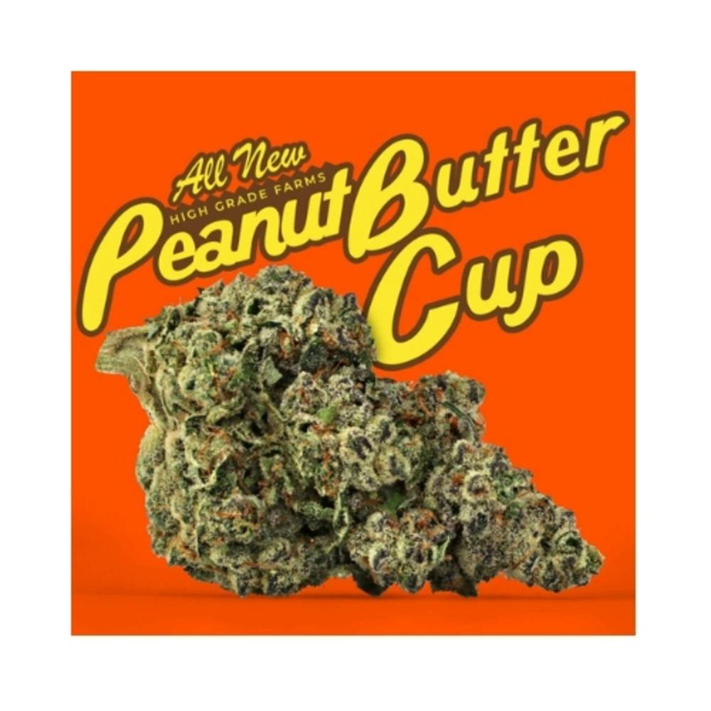 Peanut butter Cup